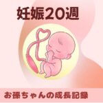 妊娠20週サムネ