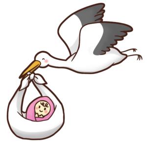 コウノトリと赤ちゃん