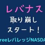 レバナス取り崩し